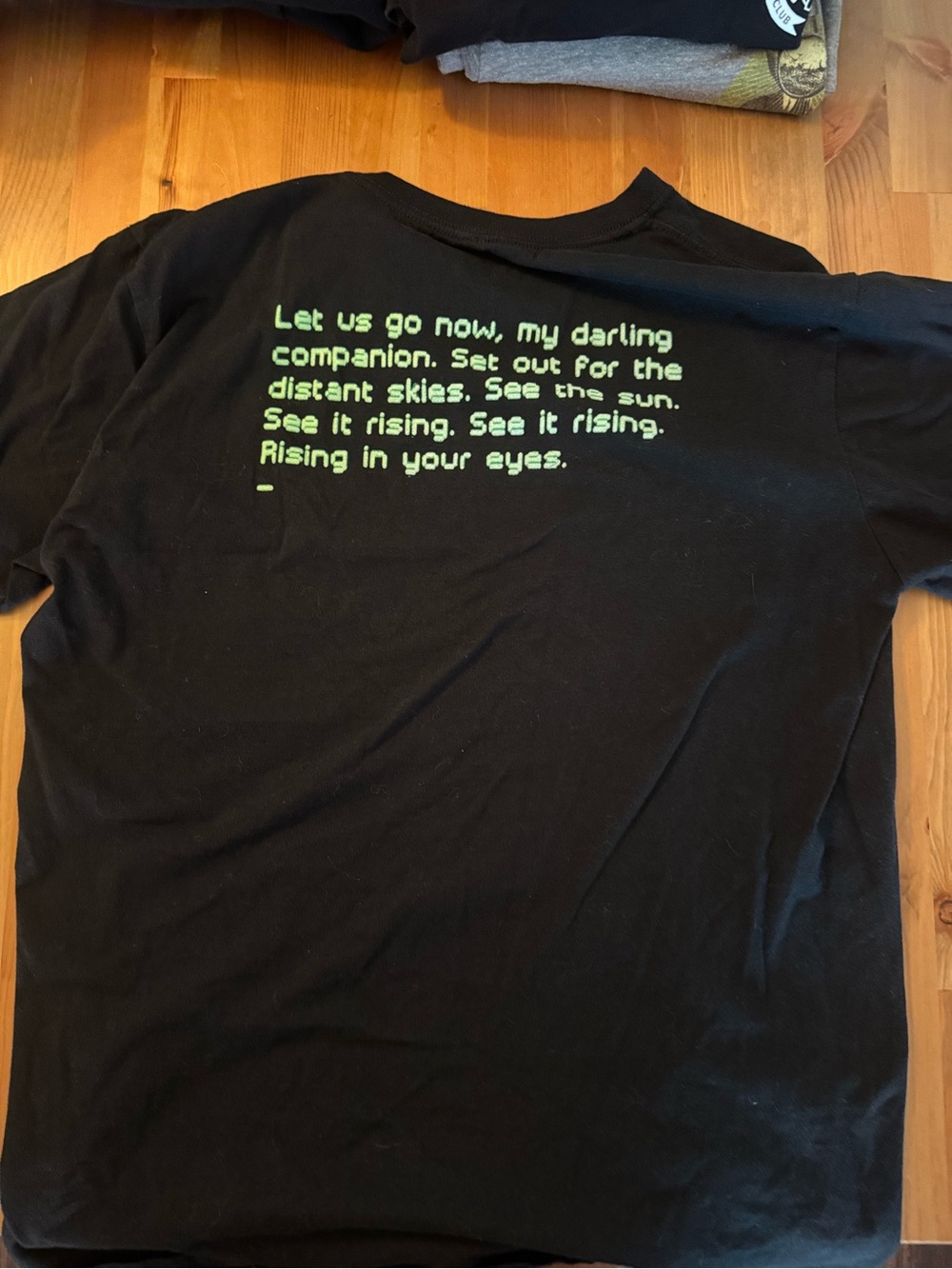 Nick Cave & The Bad Seeds Skeleton Tree Band Tee L - Picture 3 of 4